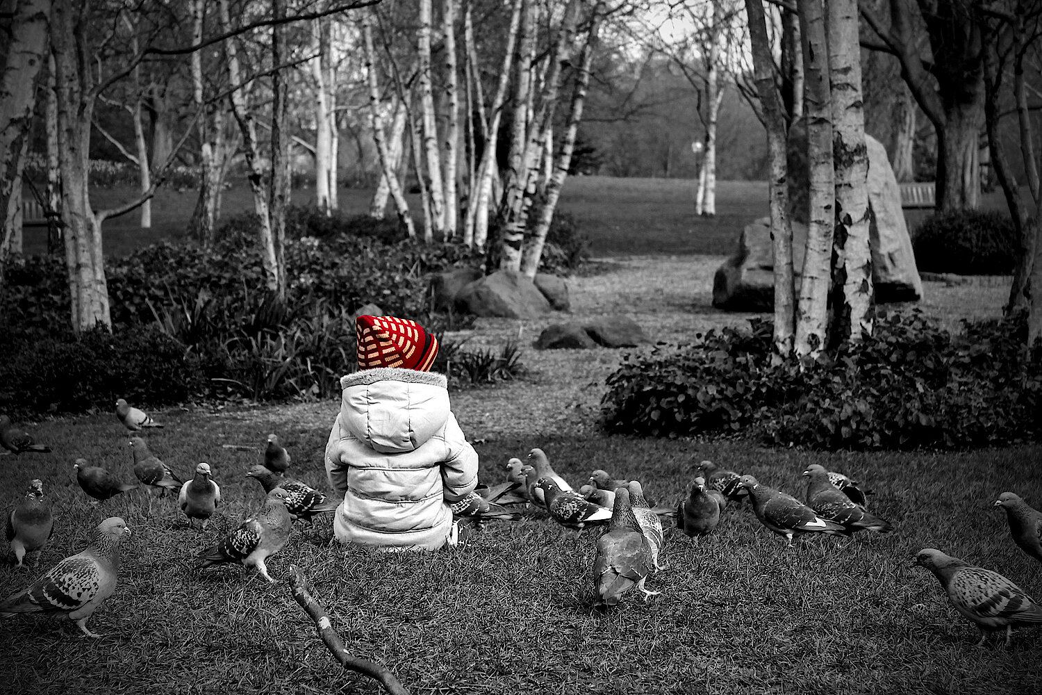 Foto Kind beim Taubenfüttern