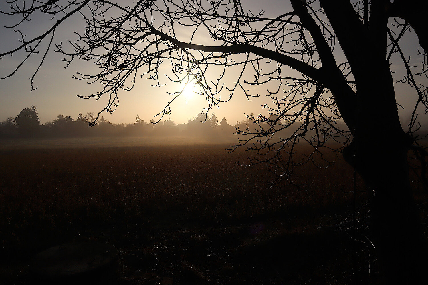 Foto Landschaft im Nebel