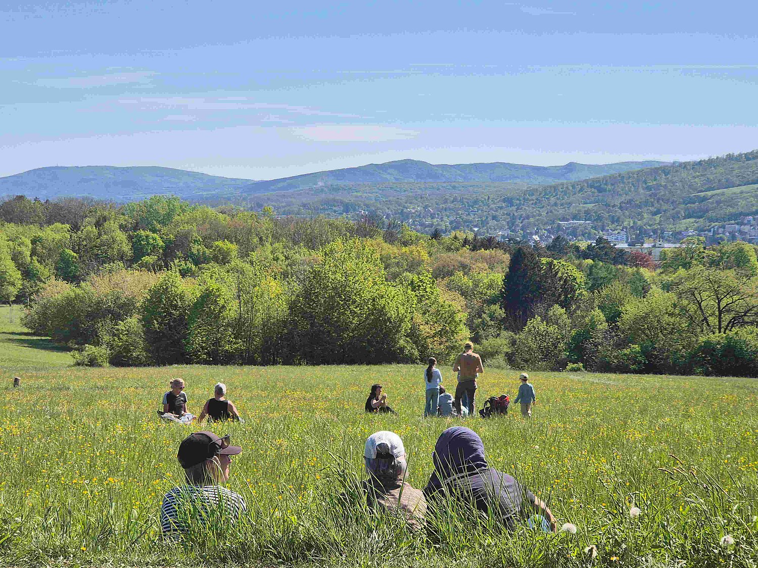 Blick über eine Wiese, in der einige Gruppen erholungssuchender Personen sitzen.