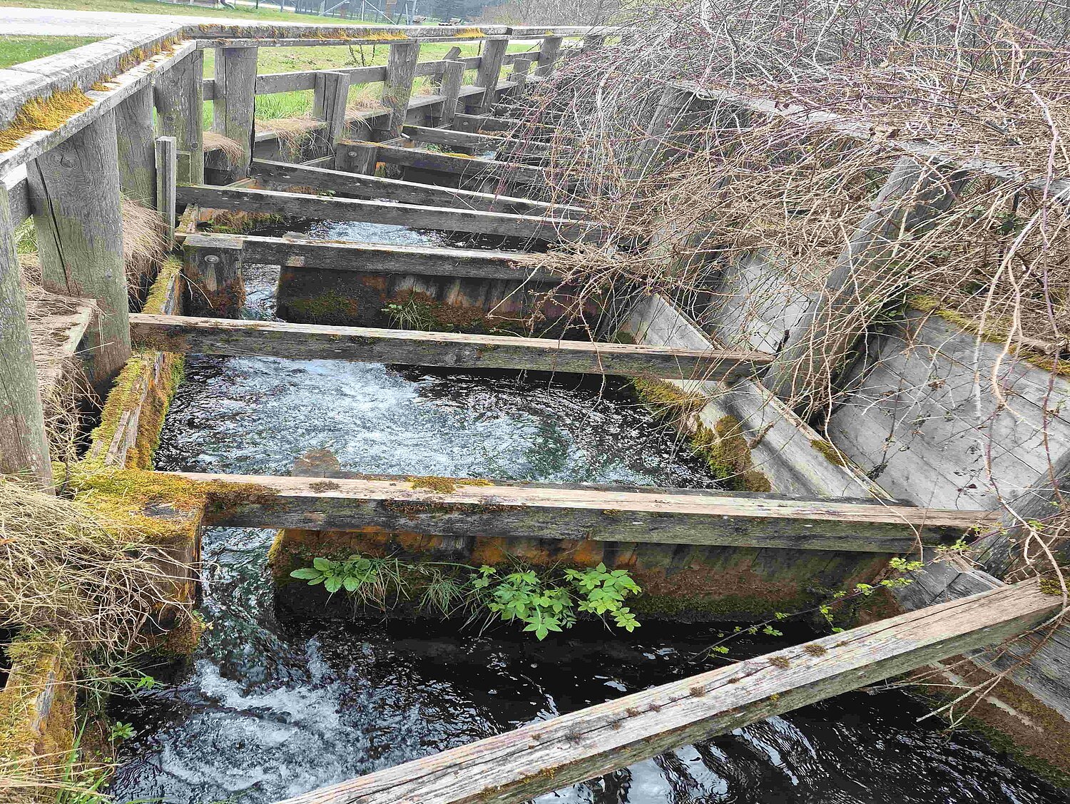 Fischaufstiegshilfe aus Holz.