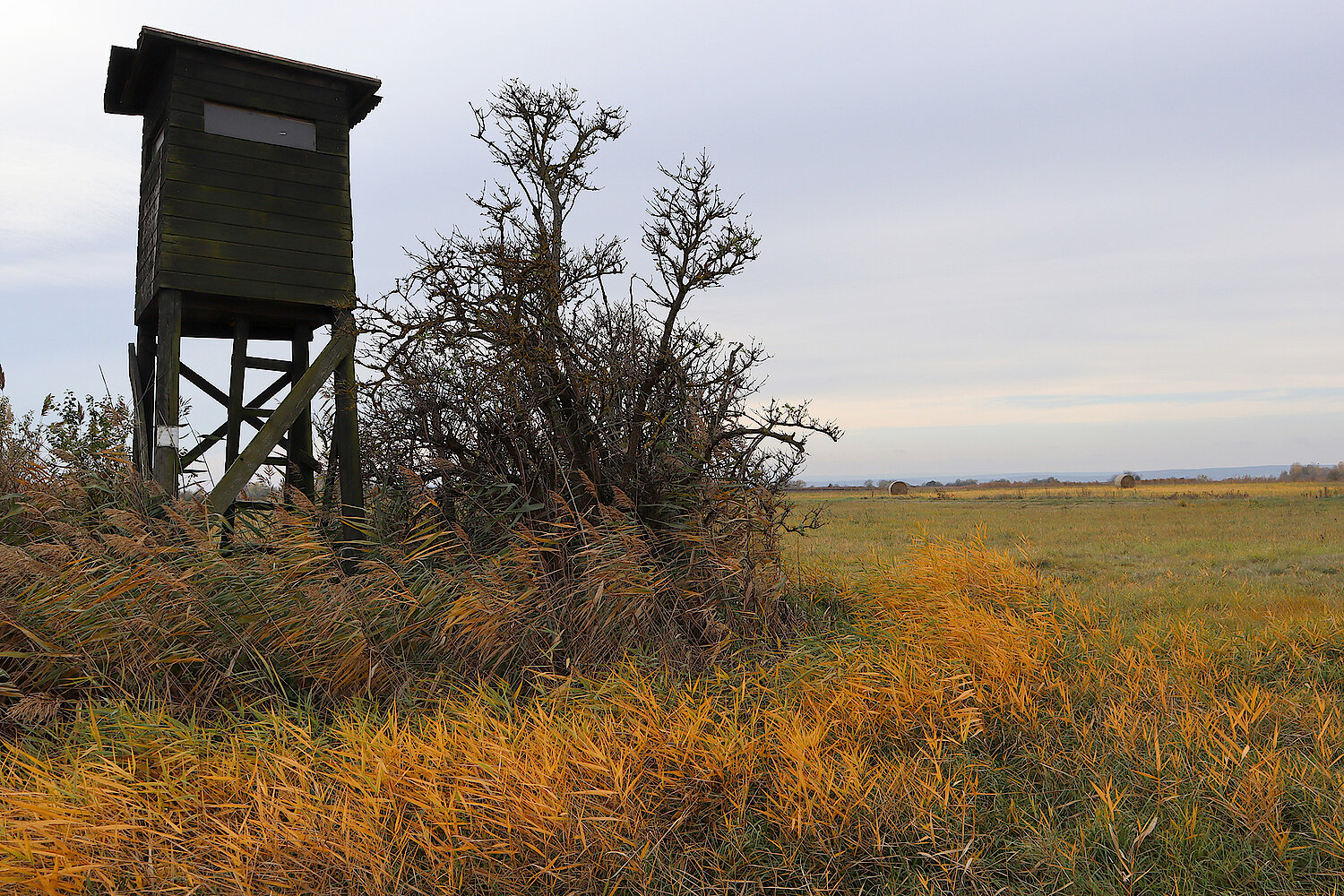 Foto Nationalpark Neusiedlersee