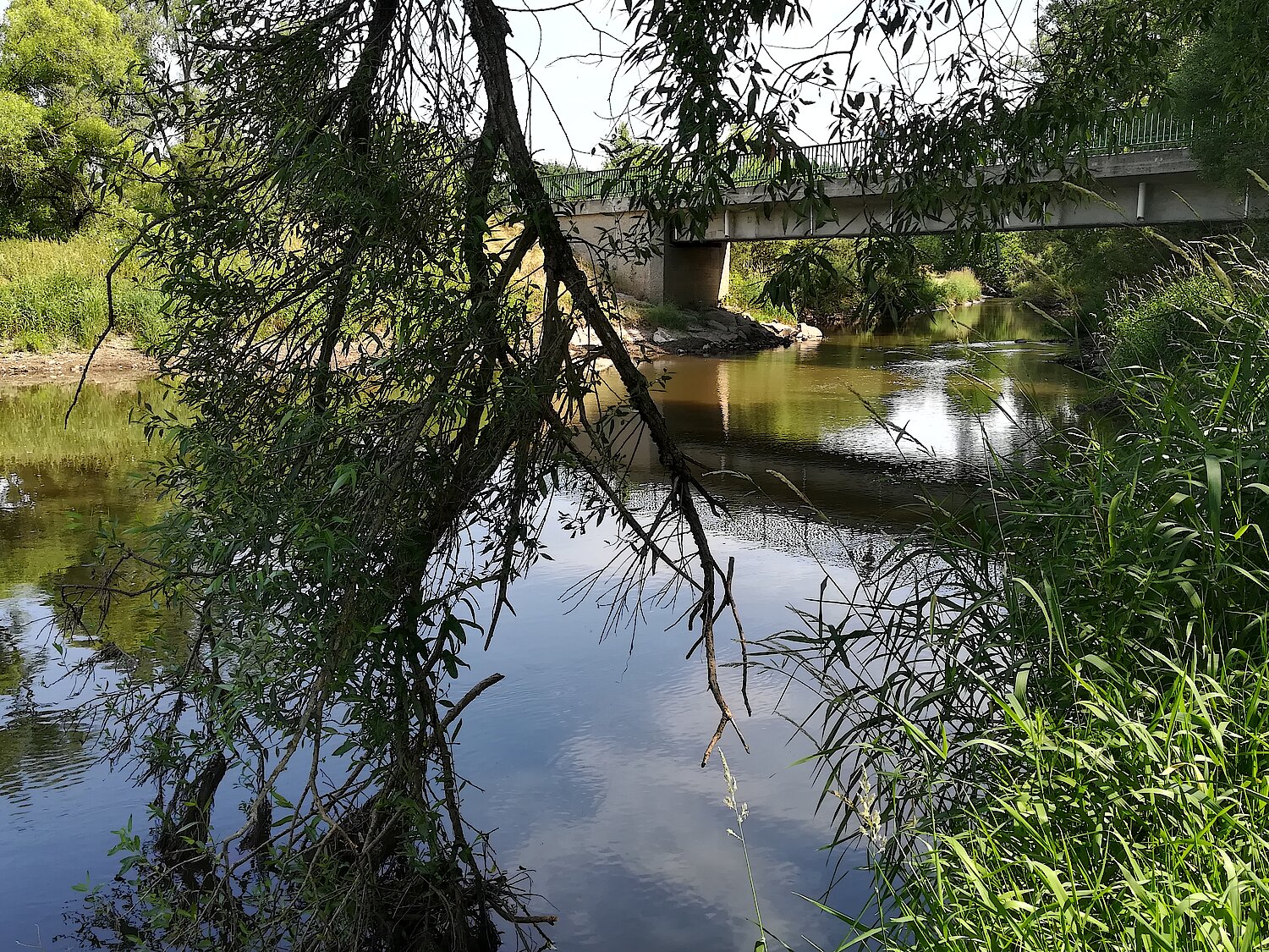 Blick auf die Lainsitz bei Breitensee im Waldviertel. 