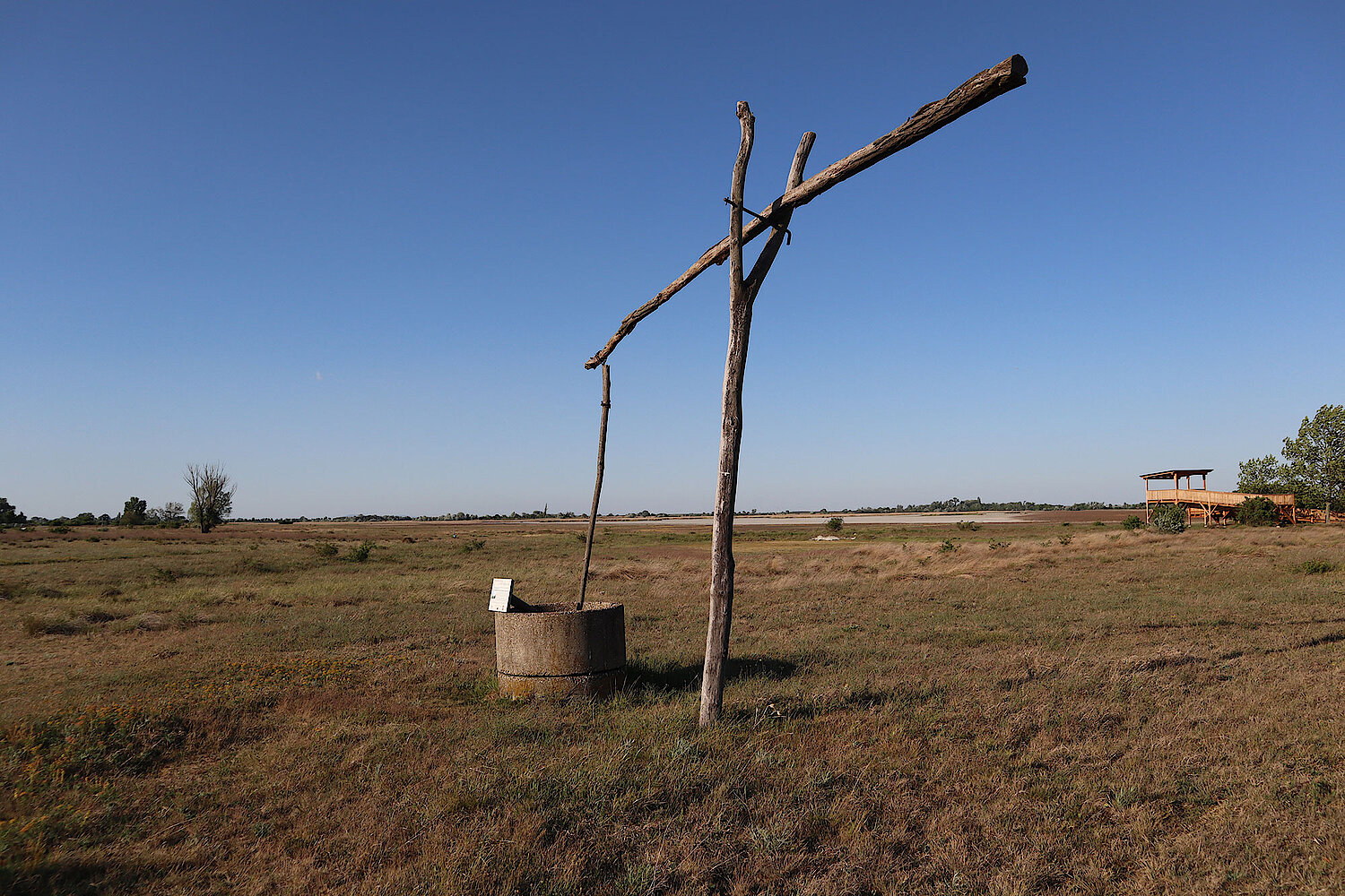 Foto Nationalpark Neusiedlersee Illmitz