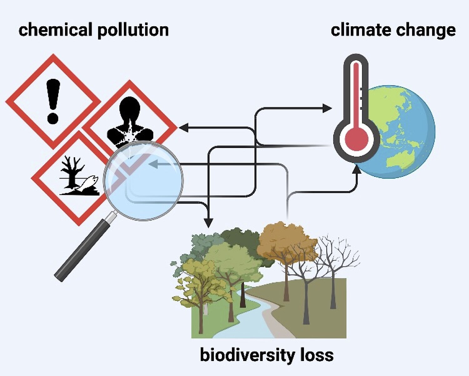Wechselwirkungen zwischen Klimawandel, Artenvielfalt und chemischer Verschmutzung 