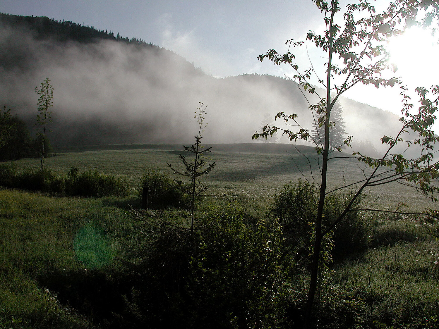 Foto Wiese im Gebirge