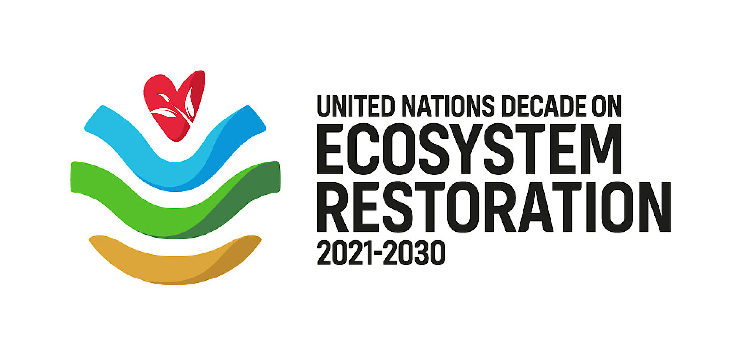Logo der Vereinten Nationen über die Dekade zur Wiederherstellung von Ökosystemen 2021 bis 2030