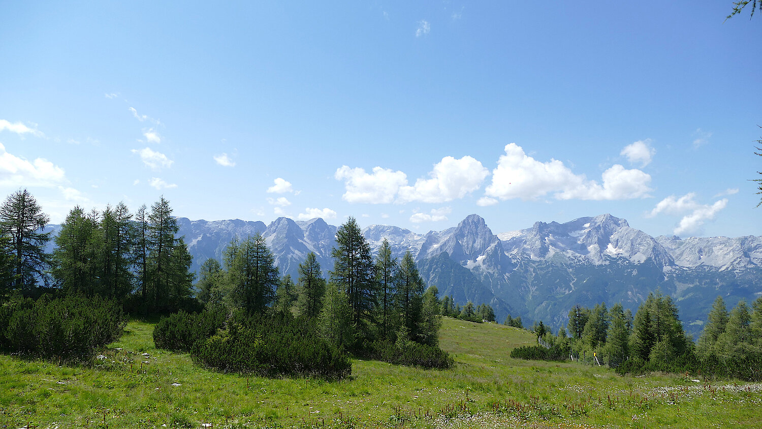 Foto Nationalpark Kalkalpen