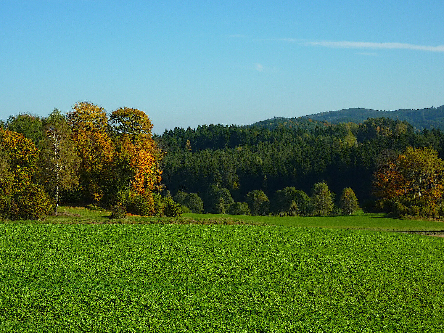 Foto Kulturlandschaft