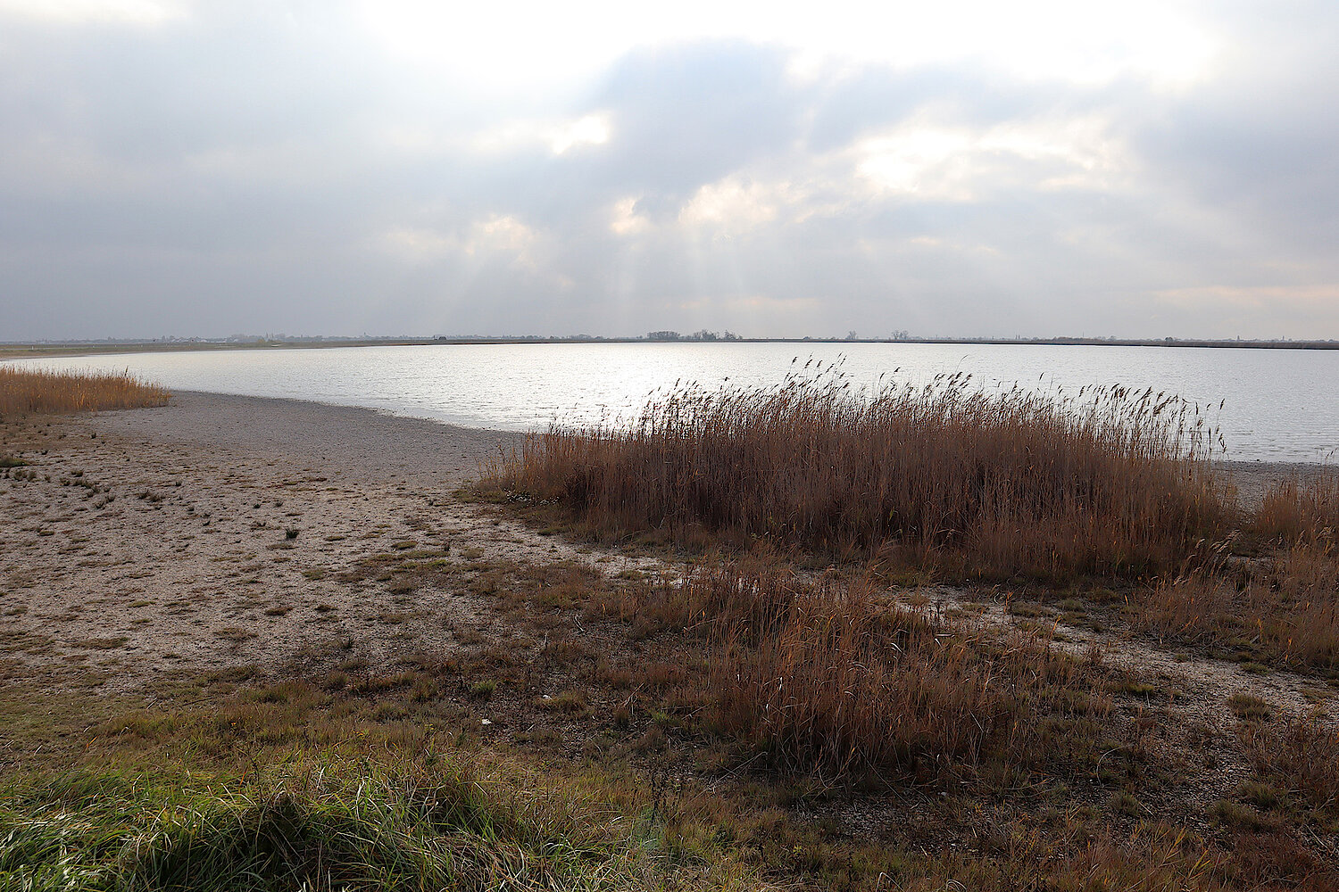 Foto Nationalpark Neusiedlersee