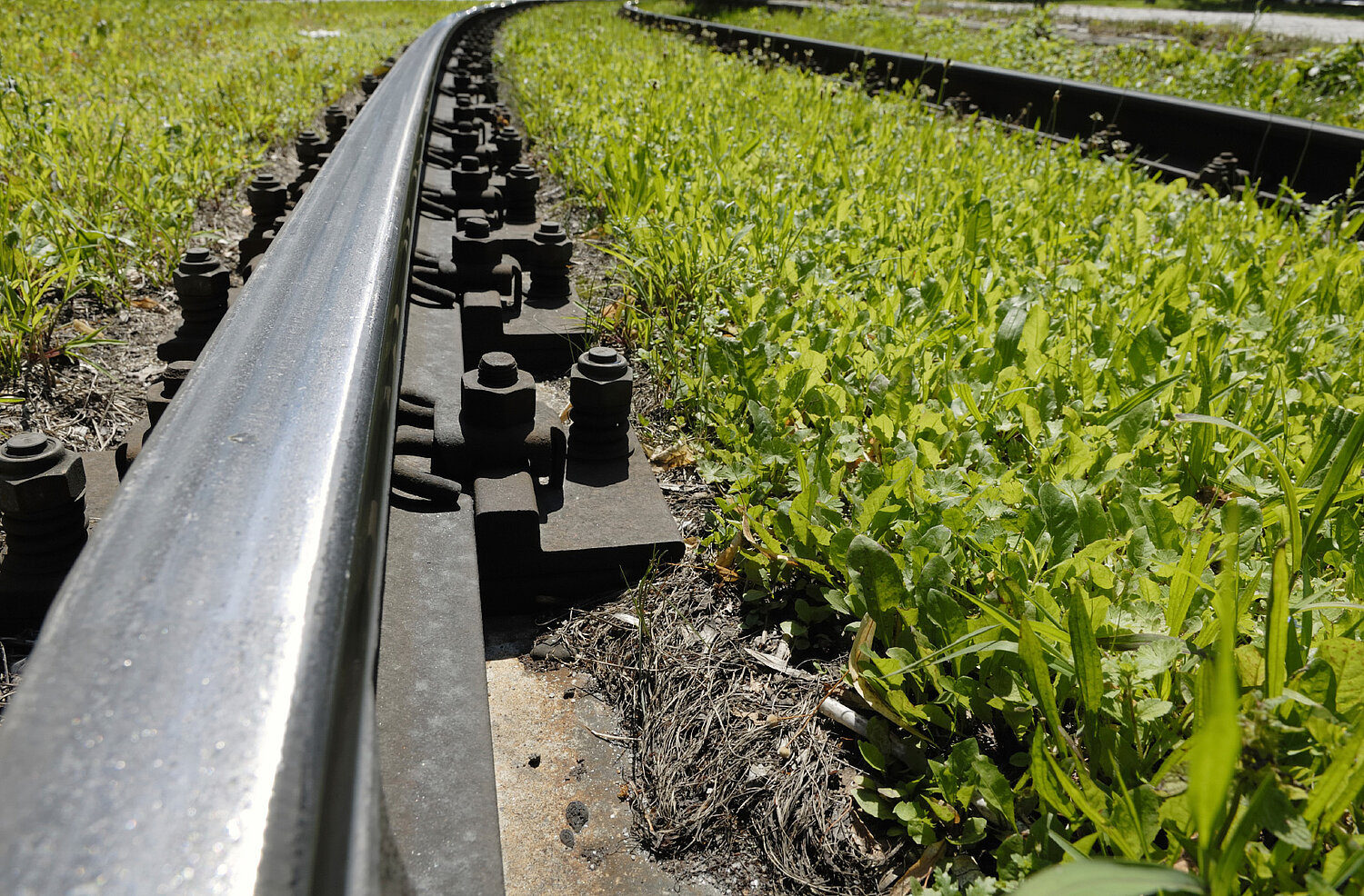 Photo with rails and grass