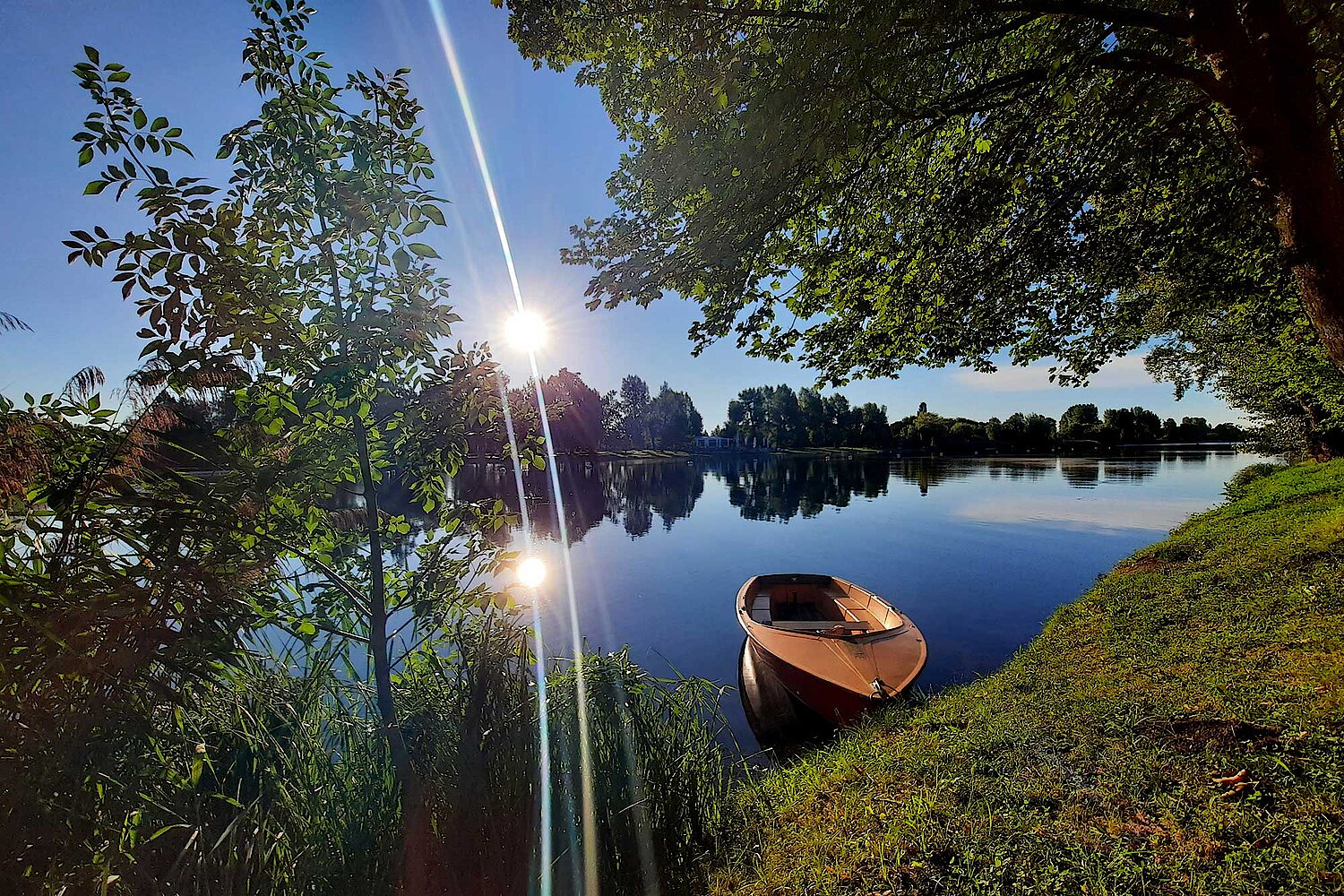 Foto Ruderboot im Nationalpark Donauauen