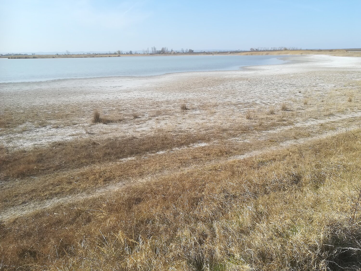 Dascho-Warmsee, eine Sodalacke mit weißem, salzreichen Uferbereich im Seewinkel im nördlichen Burgenland.