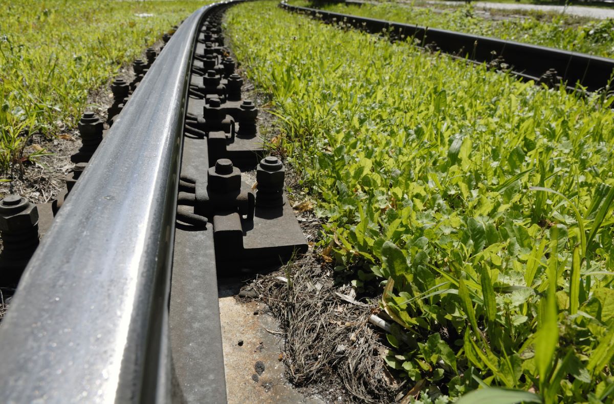 Photo with rails and grass