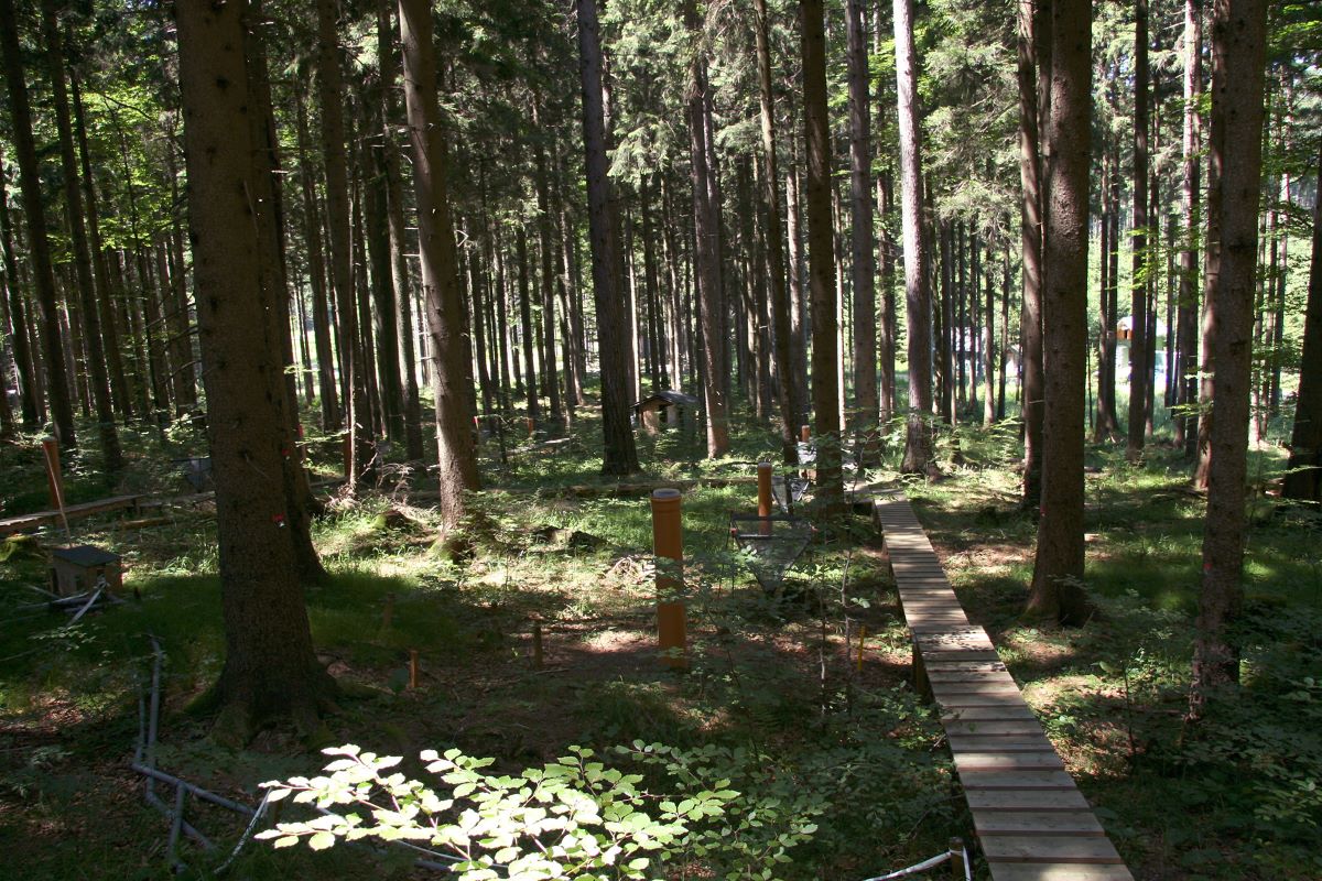 Foto Messstation Zöbelboden