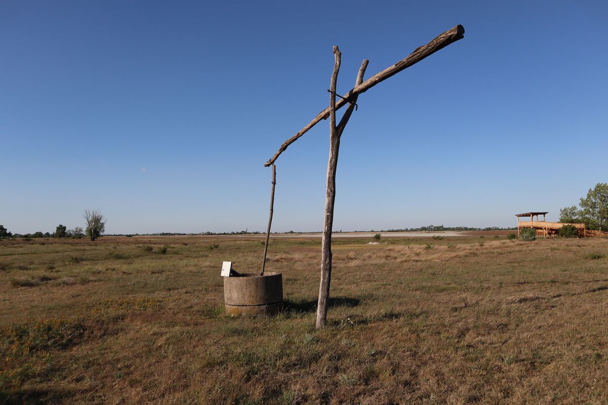 Foto Nationalpark Neusiedlersee Illmitz