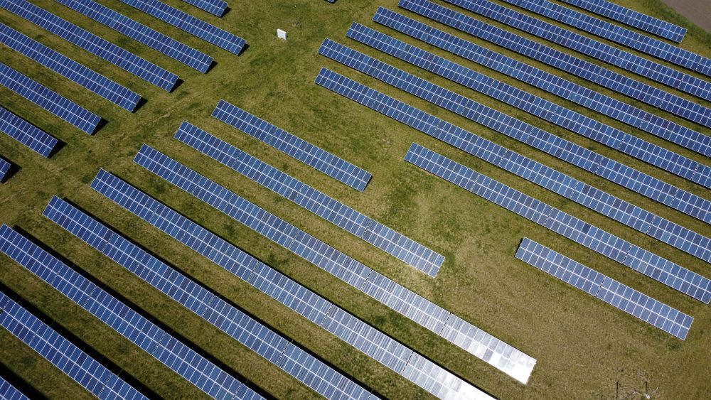Einige Reihen von Photovoltaik-Anlagen in grüner Wiese.