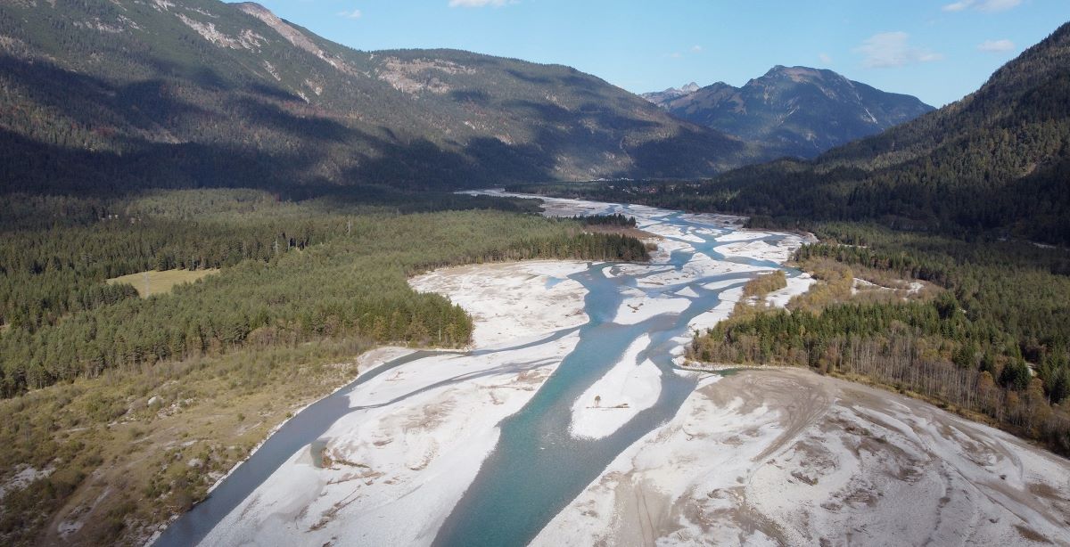 Drohnenaufnahme auf den verzweigten Fluss Lech und seine breiten Schotterbänke und .