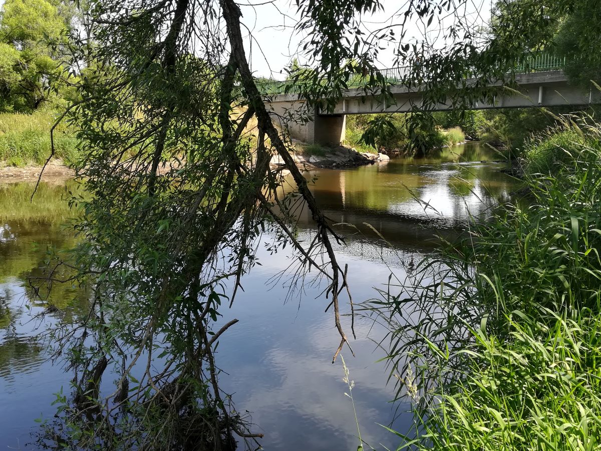 Blick auf die Lainsitz bei Breitensee im Waldviertel. 