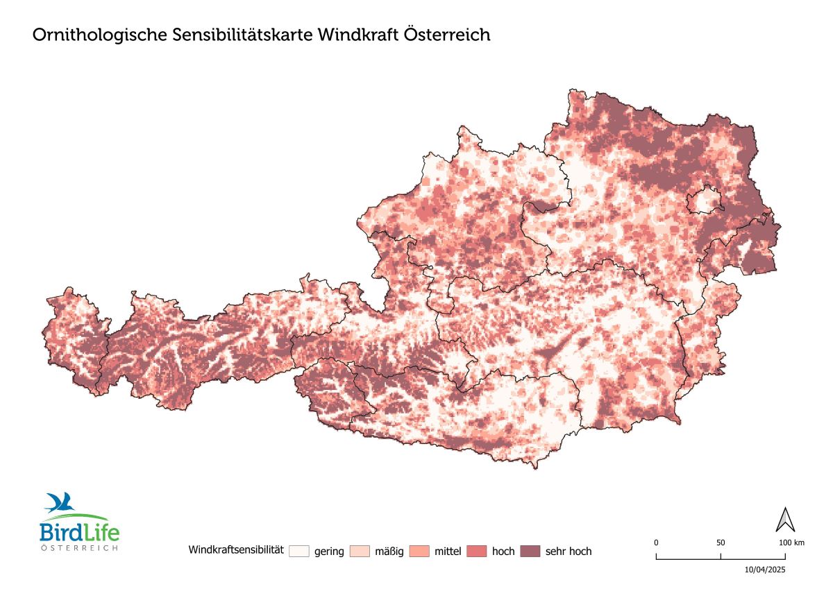 Österreichkarte mit den ornithologischen Sensibilitätszonen für Windkraftplanungen. Besonders sensibel sind die dunkelrot markierten Gebiete.