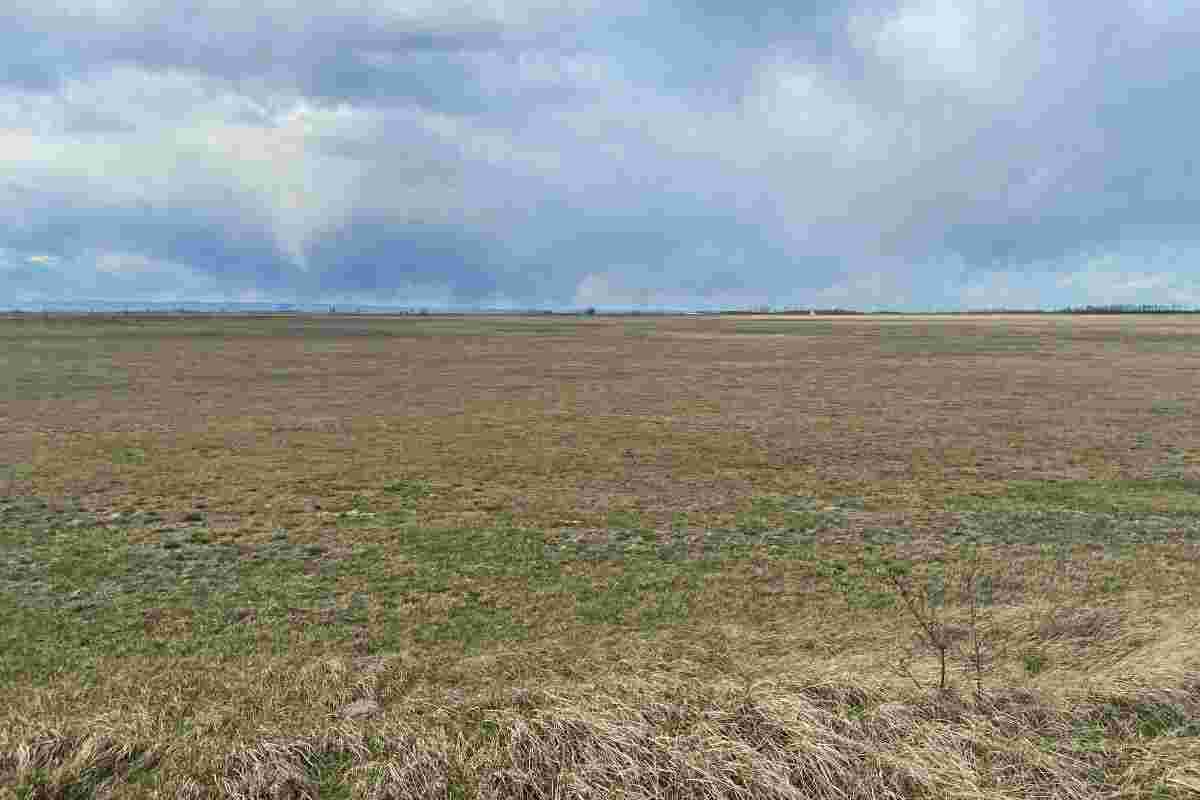 Die ehemalige Lange Lacke im Seewinkel am 28. März 2023 