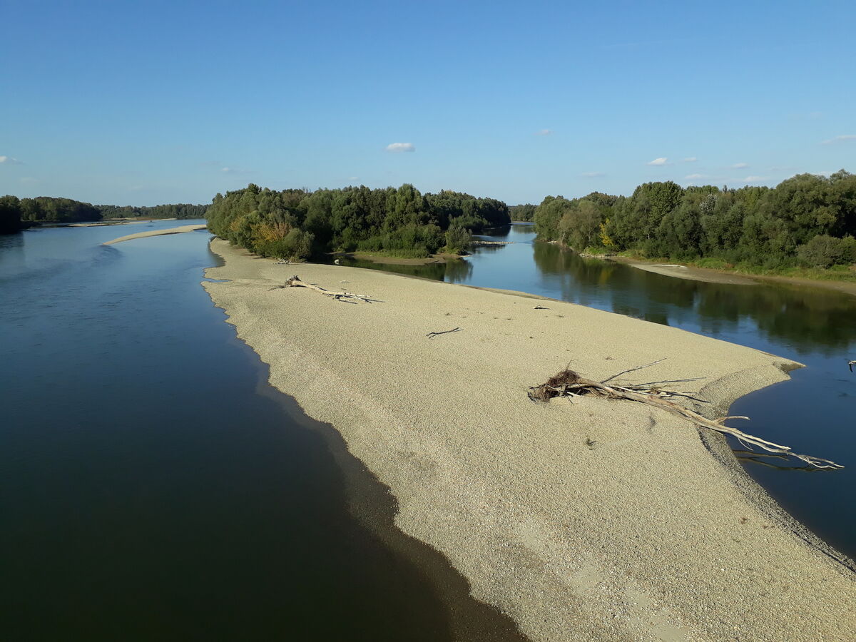 Die naturnahe Drau mit einer Schotterbank in Kroatien.