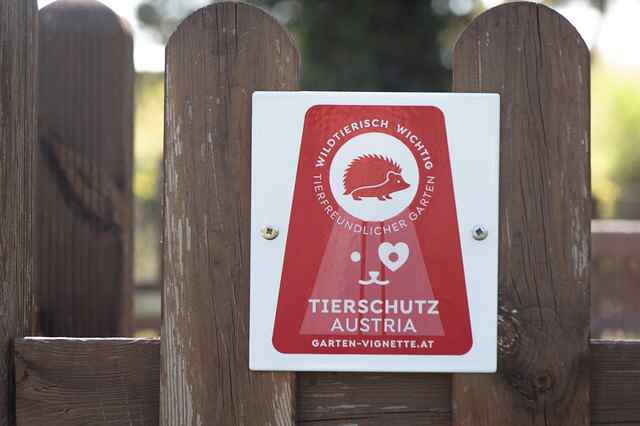 Rote Garten-Vignette an einem Holzzaun: Wildtierfreundlicher Garten